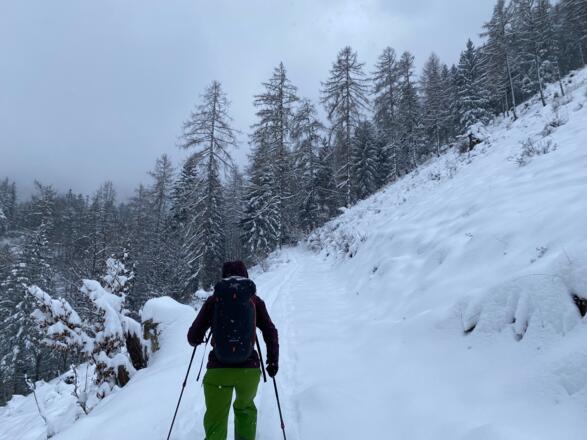 Umarkierter Weg führt uns in den Wald in die lange Querung
