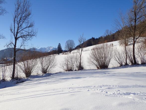 Blick Richtung Hoher Göll