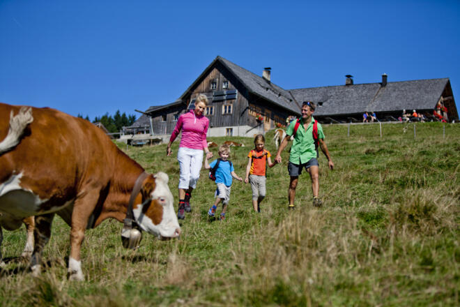 Die Stoißer Alm im Rupertiwinkel