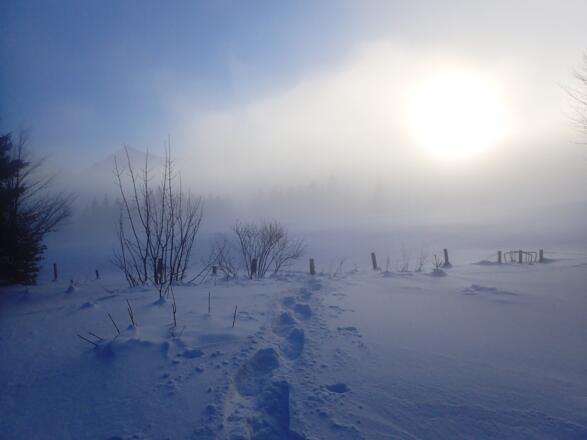 Mystische Stimmung am Feichtenstein