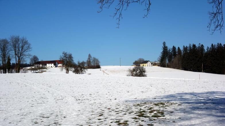 über Wiesen oder Felder am sonnigen Hochplateau  am WEG 24 nach Norden