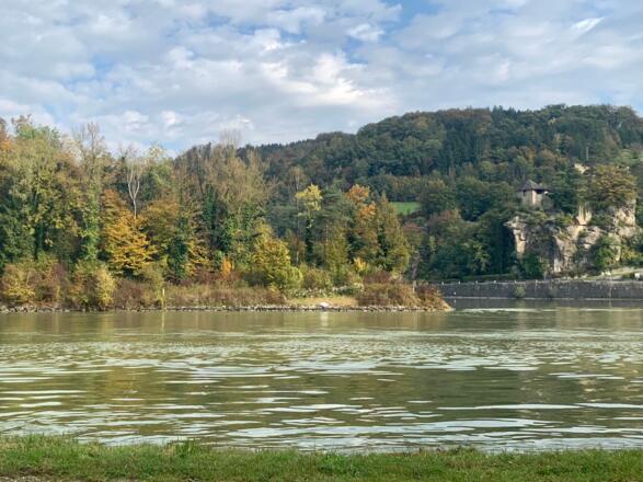 Die Donauinsel Wörth und Burg Werfenstein