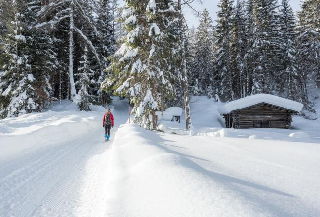 Winter-Idyll im Katzenloch.