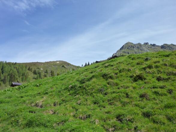 Unterhalb der Draugsteinalm