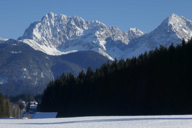 Besonders eindrucksvoll zeigt sich der Wörner.