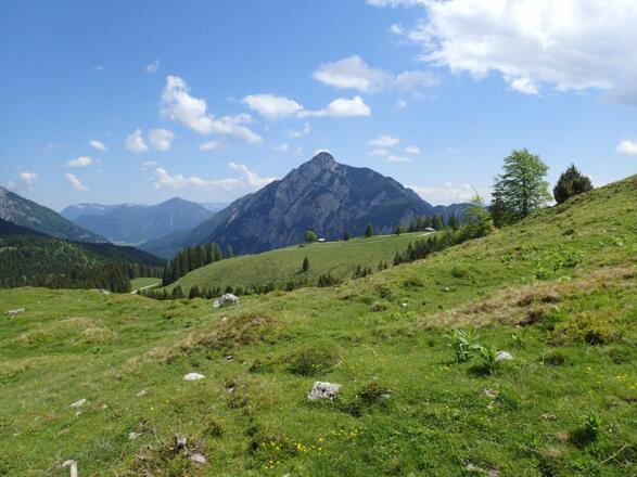 Abstieg vom Moosbergsattel, dahinter der Rinnkogel
