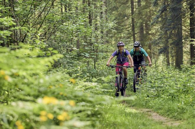 Traumpfade am Rothbach entlang