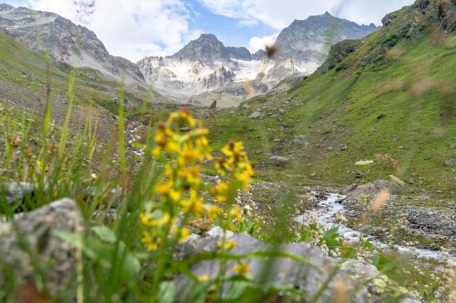 Küchlspitze und Kuchenspitze thronen am Ende des malerischen Moostals