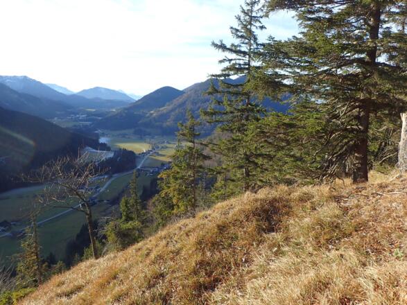 Sonnige Rastplätze
