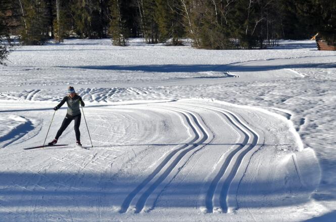 Eine Skaterin im Aschermoos