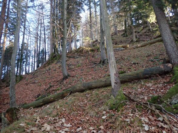Kurze Steilstufe
