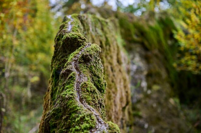 Geotop Wachsender Felsen von Usterling am Isarradweg