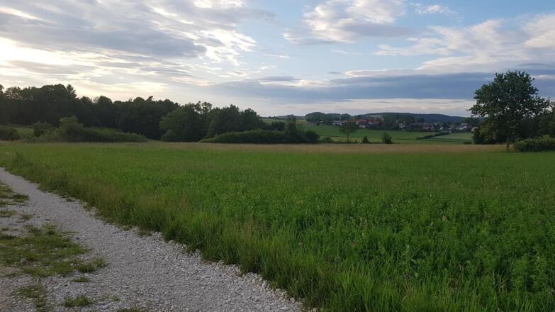 Jurahöhe nördliche Fränkische Schweiz