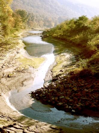 Donau Au in Aggsbach Dorf in der Wachau