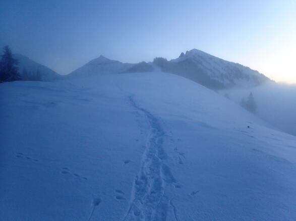 Eintauchen in die Suppe