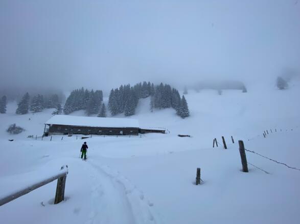 Stubneralm