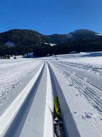 Loipe mit Faistenauer Schafberg im Hintergrund