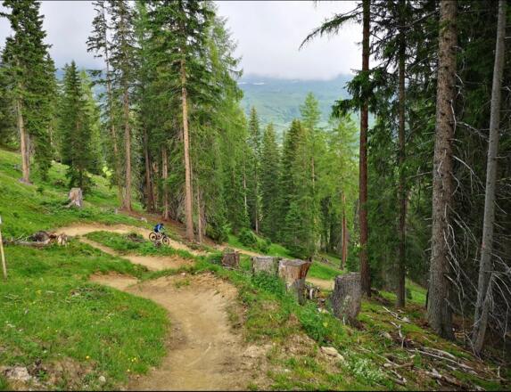 Streckenverlauf Högtrail