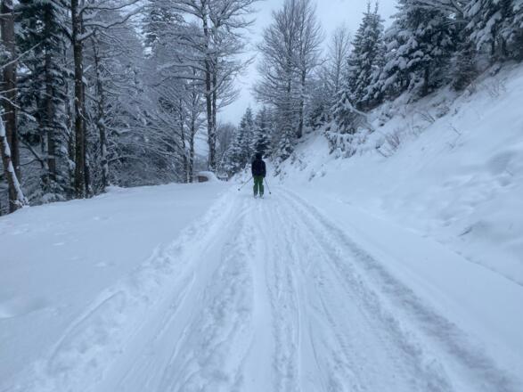 Abfahrt über den Forstweg / Mautstraße im unteren Teil