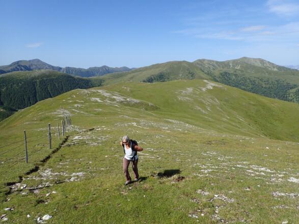 Der Zaun ist im Sommer teilweise vierfach (!) gespannt