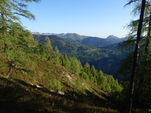 Aufstieg am Nordostrücken mit Blick zum Lienbachsattel
