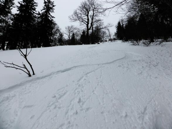 Abfahrt Nordflanke