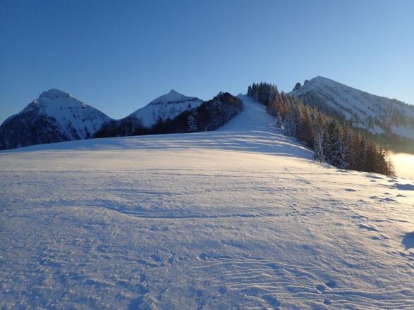 Abstecher oberhalb der Feichtensteinalm