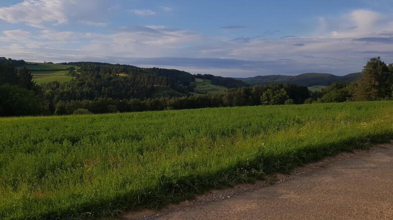 Jurahöhe nördliche Fränkische Schweiz