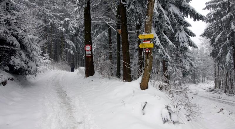 links ab ca. 742m, Mariazellerweg
