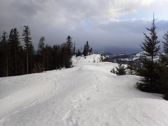 Der Gipfelkamm am Rannberg