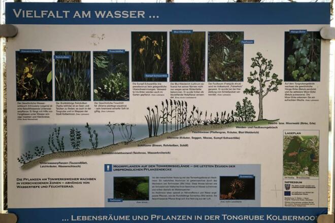 Infotafel zur Vielfalt am Wasser