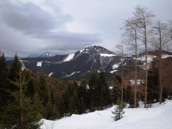2x Schafberg und Loibersbacher Höhe