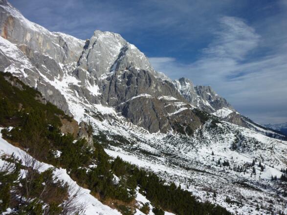 Gr. Bratschenkopf und Teile der Mandlwand