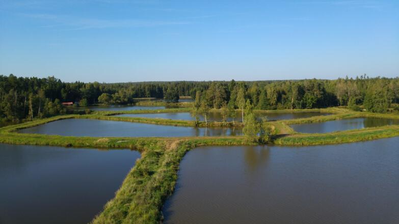 Tirschenreuther Teichpfanne