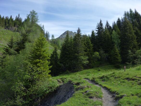 Querung in den Karteisgraben