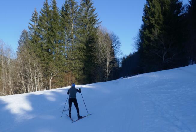 Kurzer Anstieg im Aschermoos