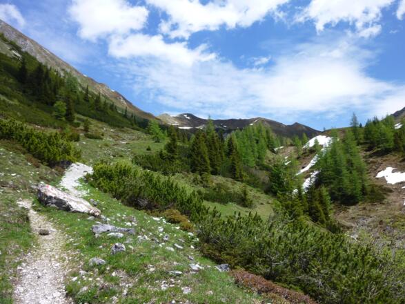Am Weg zurück zur Draugsteinalm