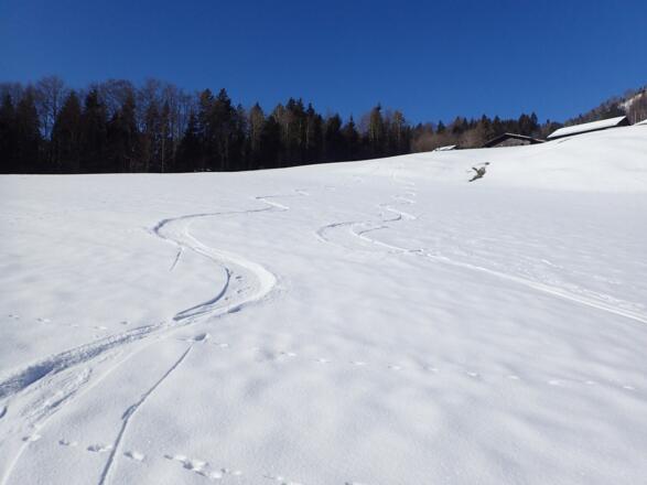 Auch diese Variante bietet schöne Hänge