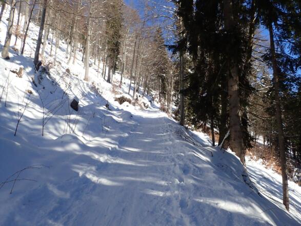 Dr. Herbert Walterskirchen-Weg