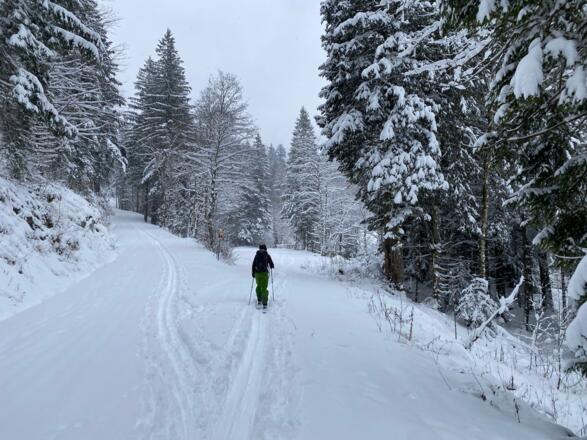 Abzweig nach ca. 300m. Über die Holzbrücke in der Bildmitte gehts weiter...