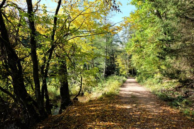 Barrierearmer Wanderweg im Otterbachtal