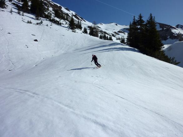 Zurück zur Draugsteinalm