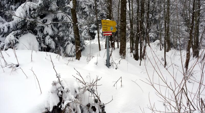 links halten Hufeisenrunde