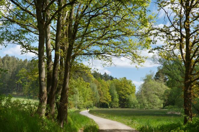 Barrierearmer Wanderweg von Bernhardswald nach Erlbach