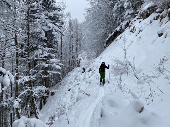 In der Querung unterm Gartenberg