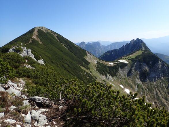 Braunedlkogel und Scharfen