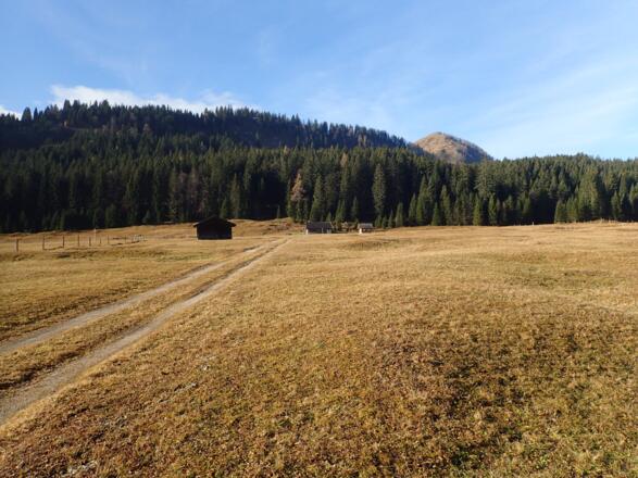 Bei der Innerlienbachalm, Astegg und Labenberg im Hintergrund
