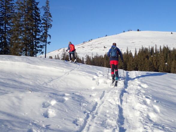 Am Weg zum Windkogel