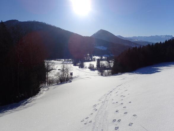 Gurlspitze und Schwarzenberg