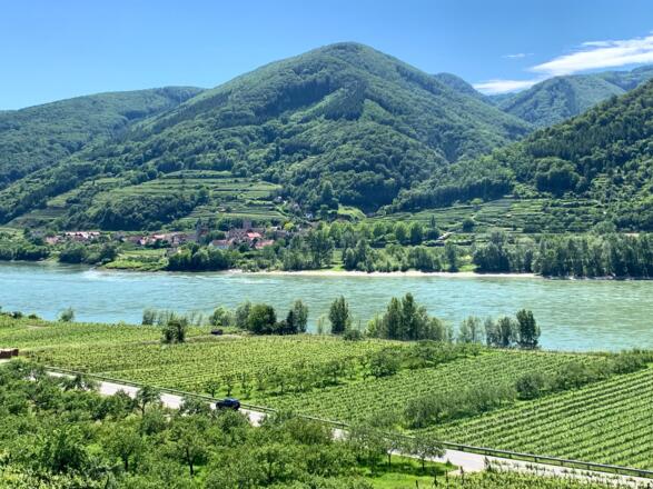 Die Donau bei Schwallenbach in der Wachau